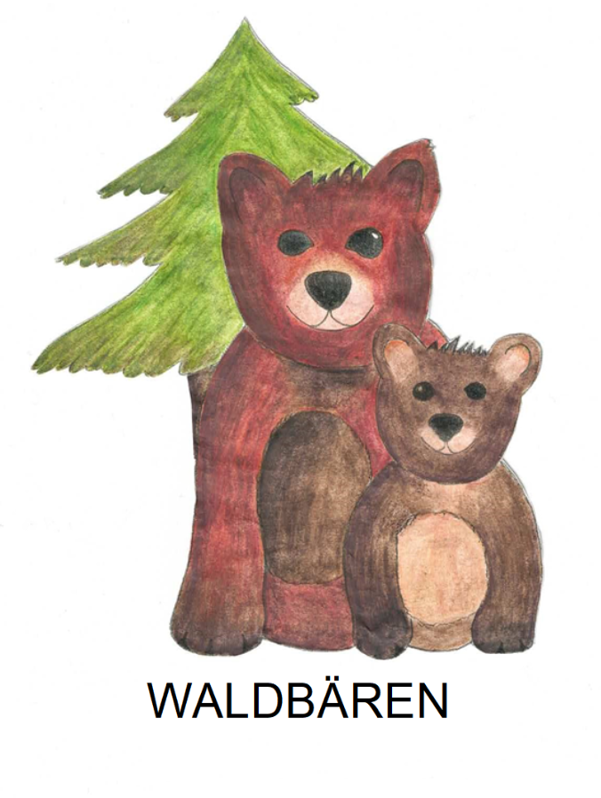 Waldbär neu